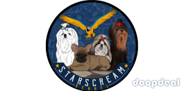 Starscream kennel