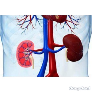 urgent k1dney donor is needed