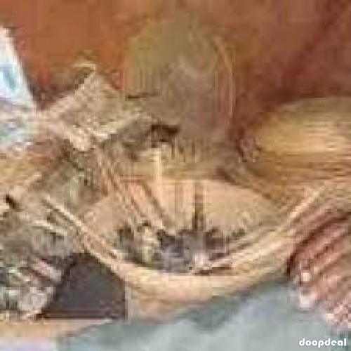 THE MOST TRUST ABLE LOST LOVE SPELL TO REUNITE YOU WITH YOUR EX