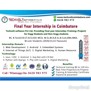 Final Year Internship