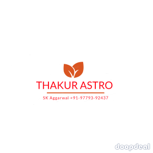 Best Famous Astrologer Lal Kitab Vedic+91-9779392437