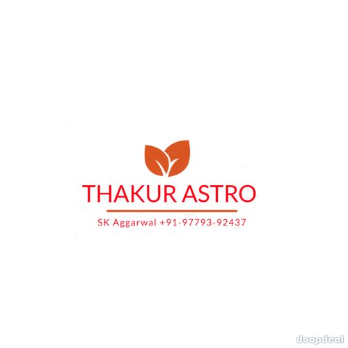 Best Famous Astrologer Lal Kitab Vedic+91-9779392437