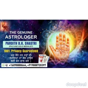 Get your love back  specialist in  Ajmer