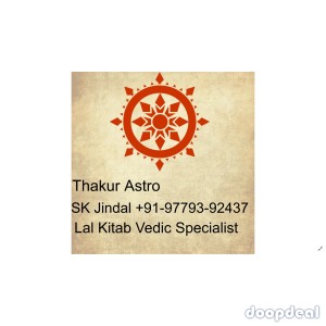 Astrologer Lal Kitab Vedic horoscope+91-9779392437