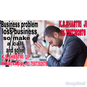 business problem solution astrologer ks shastri ji +91 7597392676