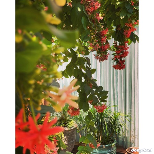 My Pottery Wheel-pottery manufacturers thrissur|ernakulam