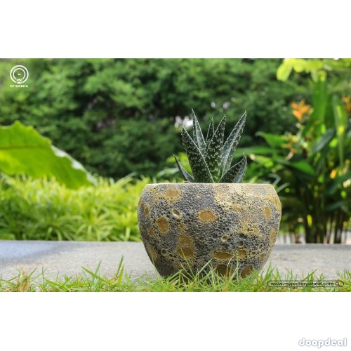 My Pottery Wheel-pottery manufacturers thrissur|ernakulam