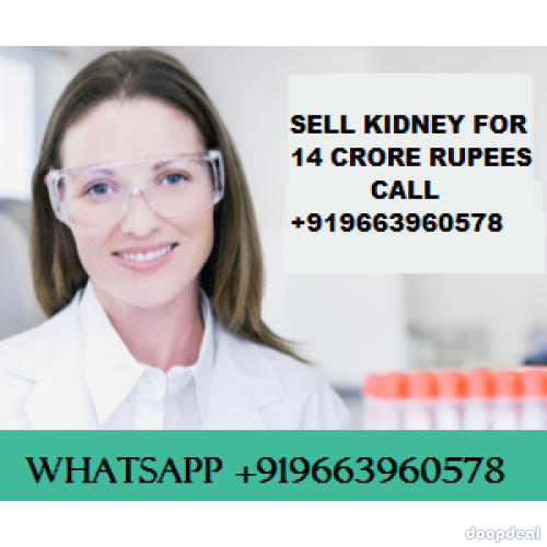 SELL KIDNEY FOR MONEY CONTACT 9663960578 NOW