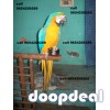 Hand tamed macaw parrot for sale delhi 9654209269