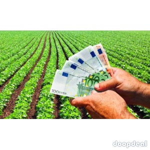 Easy repayment of the loan