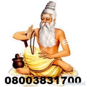  Vashikaran Specialist Astrologer +91-8003831700