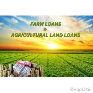 Business and Personal Loans, Business and Personal Loans, Loans rangin