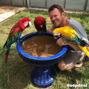 Crimson Billed conure Parrots for sale whatsapp +237699461444