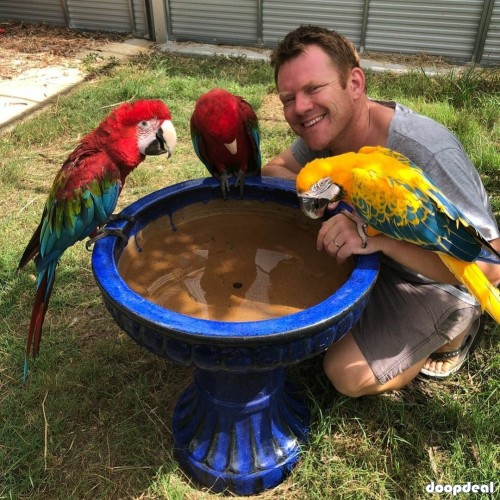 Crimson Billed conure Parrots for sale whatsapp +237699461444