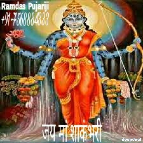 black magic, [+91-7568884333]) love vashikaran specialist baba ji adoni